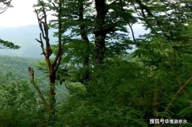 救援木偶女孩