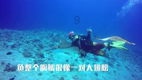 上帝之城监狱帝国
