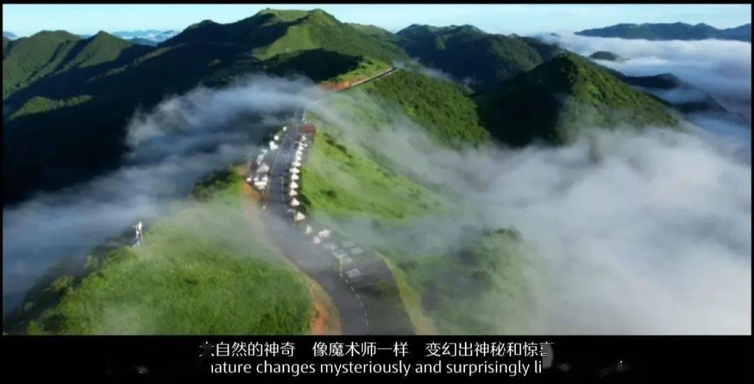 港澳人士情牵“第二故乡”甘肃：搭桥梁 献爱心